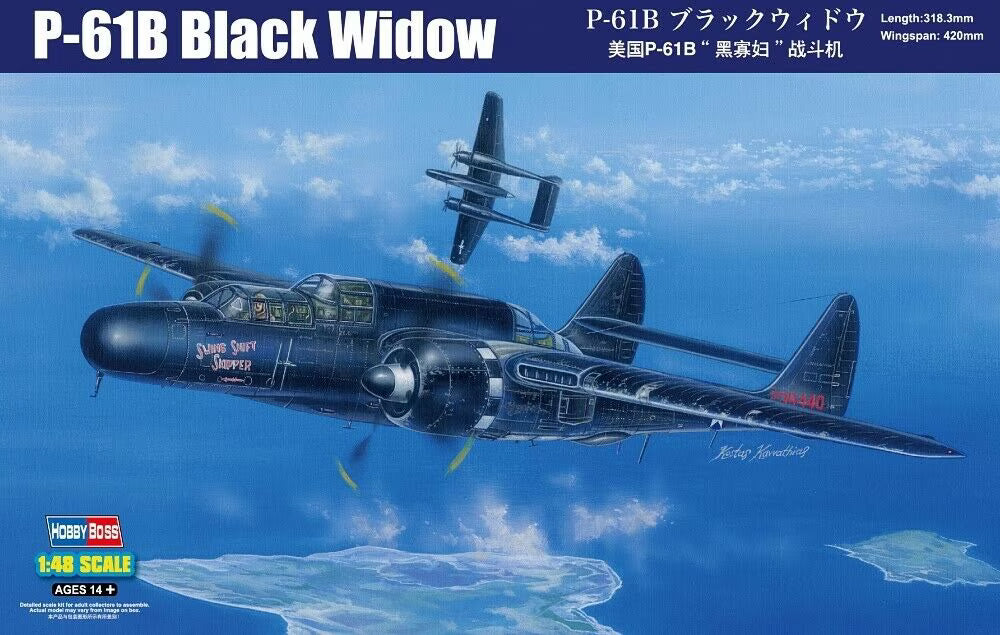 1/48 P-61B Black Widow