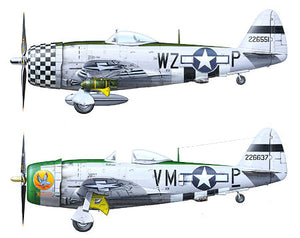 Republic P-47D Thunderbolt "Bubbletop" (1/48 Scale)