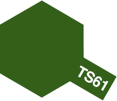 TS- 61 NATO green