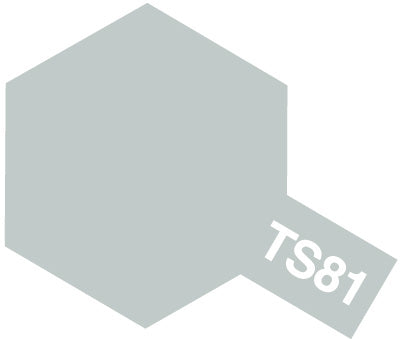 TS- 81 Royal light gray